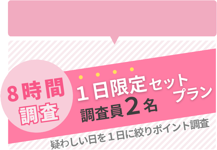 8時間調査 1日限定セットプラン
